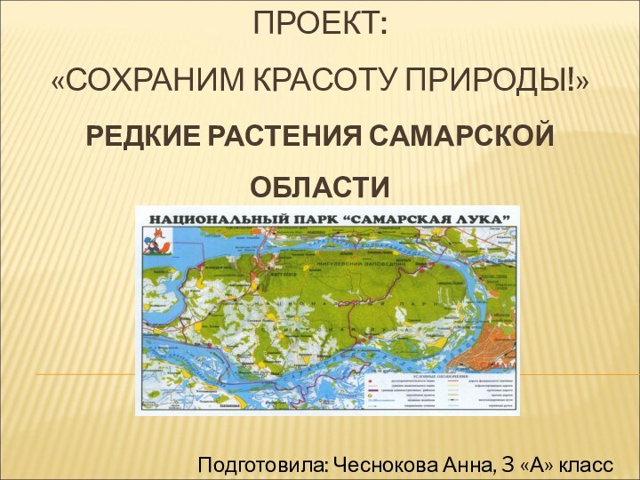 ПРОЕКТ:  «СОХРАНИМ КРАСОТУ ПРИРОДЫ!» РЕДКИЕ РАСТЕНИЯ САМАРСКОЙ ОБЛАСТИПодготовила: Чеснокова Анна, 3 «А» класс