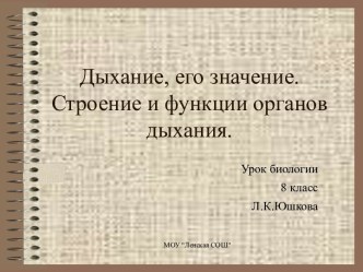 Дыхание, его значение. Строение и функции органов дыхания