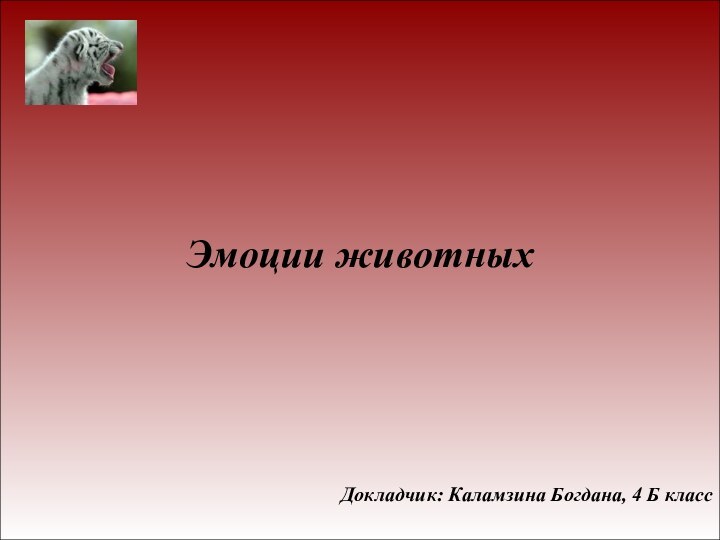 Эмоции животныхДокладчик: Каламзина Богдана, 4 Б класс