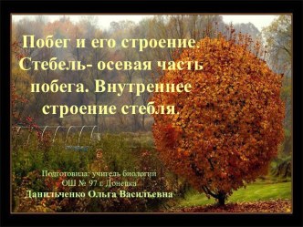 Побег и его строение. Стебель- осевая часть побега. Внутреннее строение стебля.