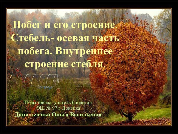 Побег и его строение.  Стебель- осевая часть побега. Внутреннее строение стебля.Подготовила: