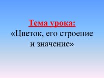 Цветок, его строение и значение