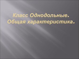 Класс Однодольные. Общая характеристика