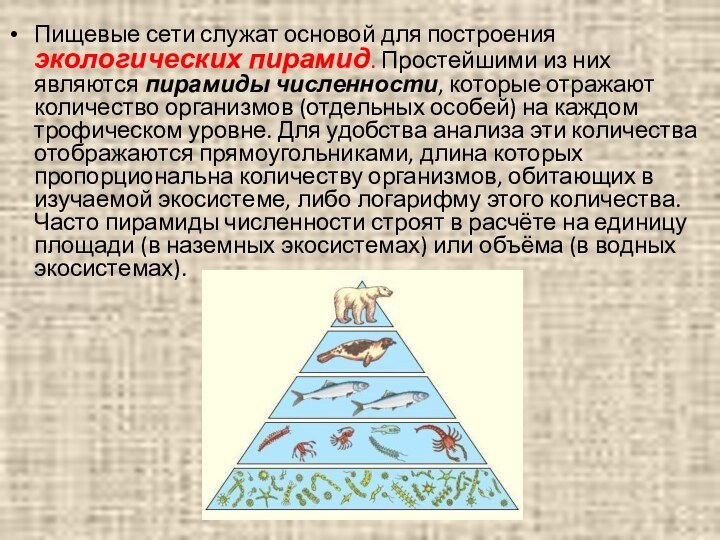 Пищевые сети служат основой для построения экологических пирамид. Простейшими из них являются