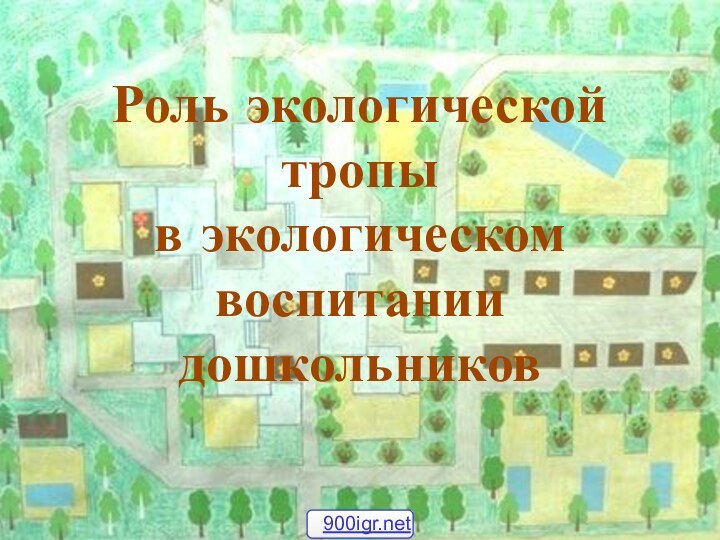 Роль экологической тропы  в экологическом воспитании дошкольников