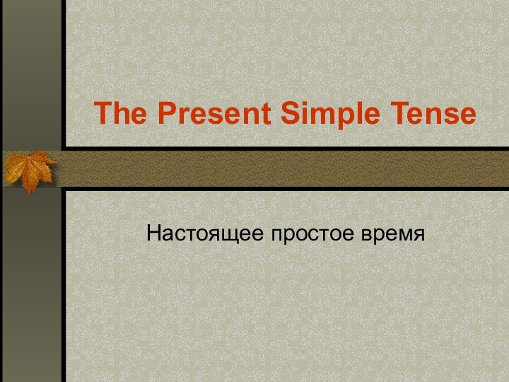 The Present Simple TenseНастоящее простое время