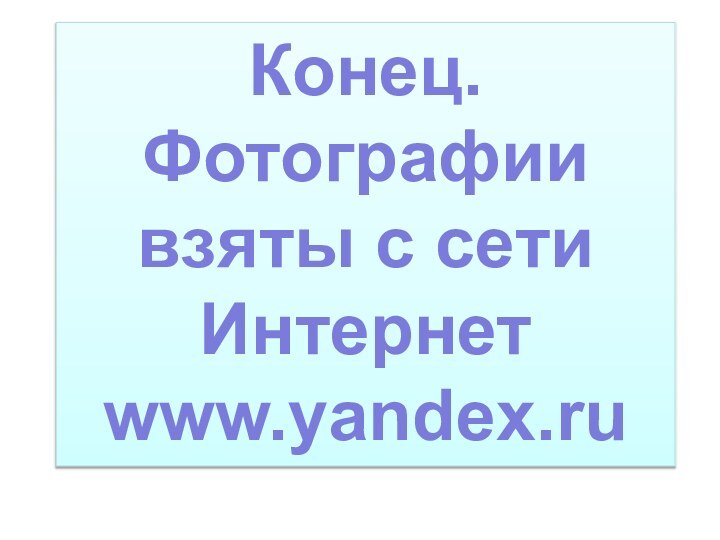 Конец.Фотографии взяты с сети Интернетwww.yandex.ru