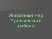 Животный мир Туапсинского района