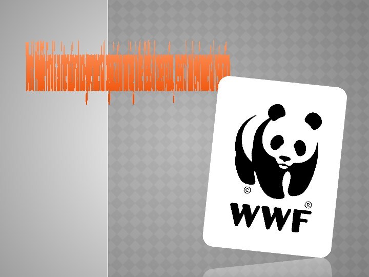 World Wildlife Fund is an international non-governmental organization working in the fields of conservation, research and environmental restoration. 