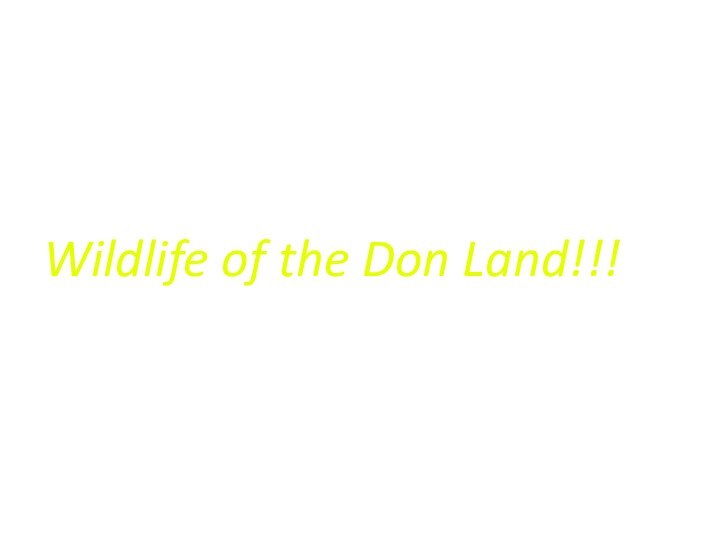 Wildlife of the Don Land!!!