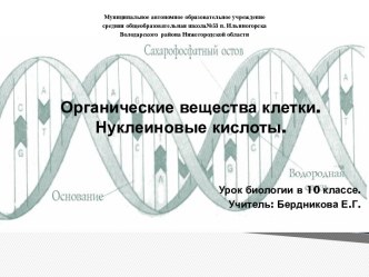 КЛЕТКА- ЭЛЕМЕНТАРНАЯ СИСТЕМА