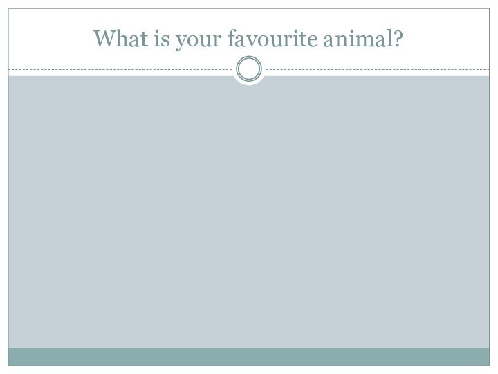 What is your favourite animal?