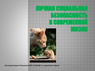 Личная социальная безопасность в современной жизни