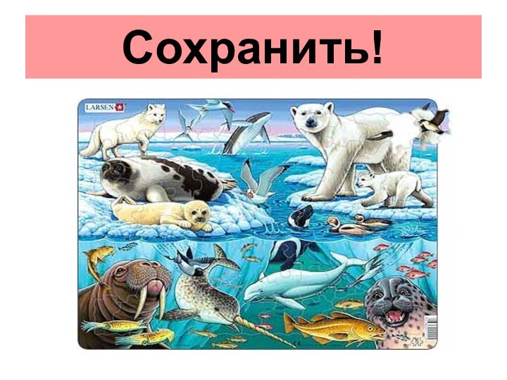 Сохранить!