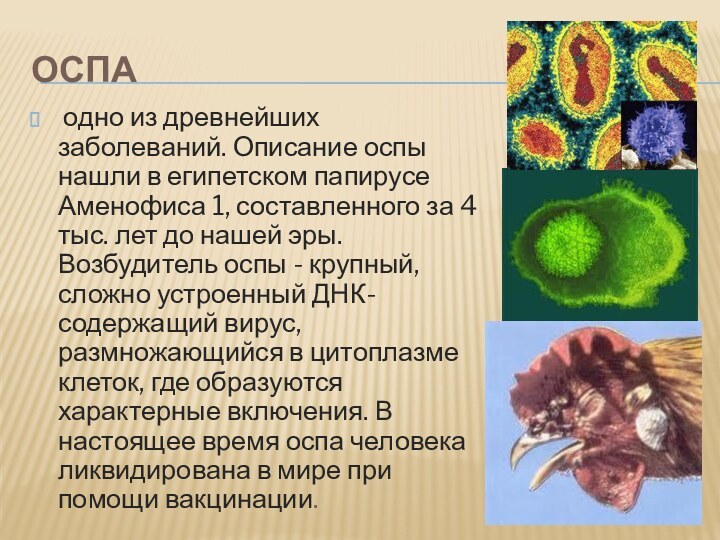 Оспа одно из древнейших заболеваний. Описание оспы нашли в египетском папирусе Аменофиса 1,