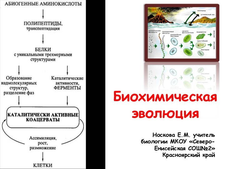 Биохимическая эволюцияНоскова Е.М. учитель биологии МКОУ «Северо-Енисейская СОШ№2» Красноярский край