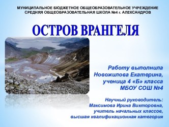 Остров Врангеля