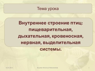 Внутреннее строение птиц