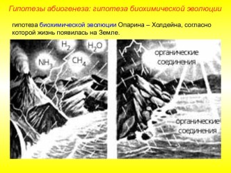 Гипотезы абиогенеза: гипотеза биохимической эволюции