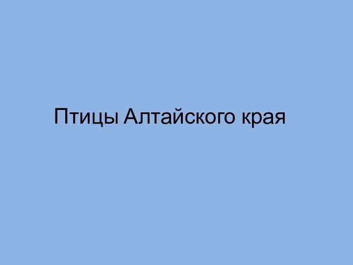 Птицы Алтайского края