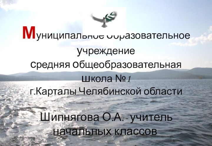 Муниципальное образовательное учреждение  средняя общеобразовательная школа №1  г.Карталы Челябинской области