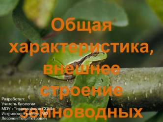 Общая характеристика, внешнее строение земноводных