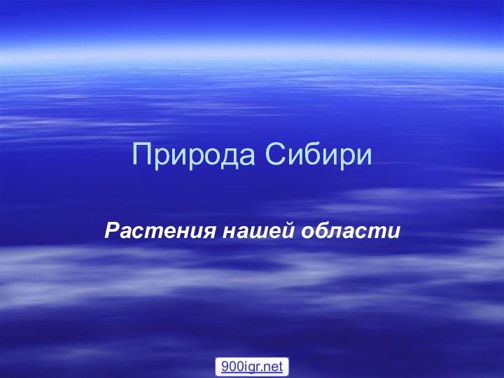 Природа СибириРастения нашей области