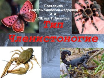 Членистоногие