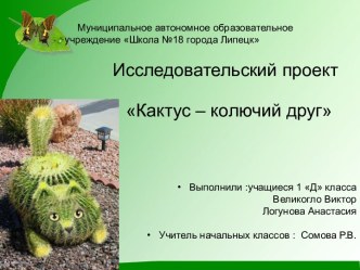 Исследовательский проект Кактус - колючий друг