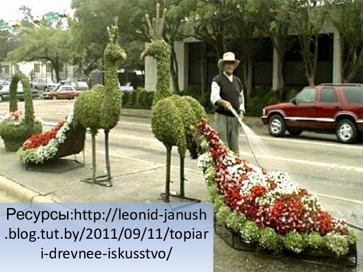 Ресурсы:http://leonid-janush.blog.tut.by/2011/09/11/topiari-drevnee-iskusstvo/