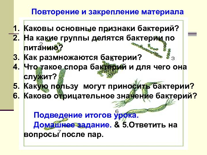 Повторение и закрепление материалаКаковы основные признаки бактерий?На какие группы делятся бактерии по