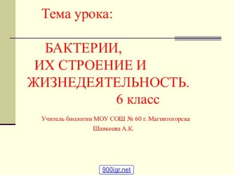 Бактерии 6 класс