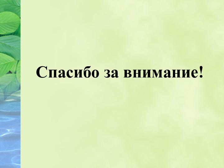 Спасибо за внимание!