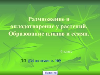 Размножение растений 6 класс