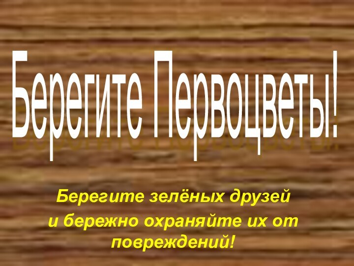 Берегите Первоцветы! Берегите зелёных друзей и бережно охраняйте их от повреждений!