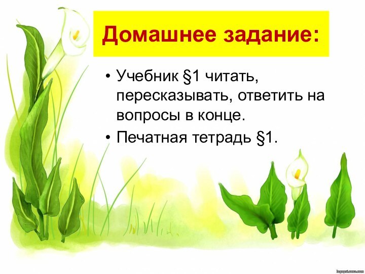 Домашнее задание:Учебник §1 читать, пересказывать, ответить на вопросы в конце.Печатная тетрадь §1.