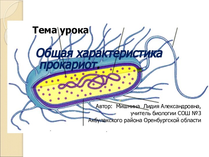 Тема урока Общая характеристика прокариот.Автор: Мишнина Лидия Александровна, учитель биологии СОШ №3Акбулакского района Оренбургской области