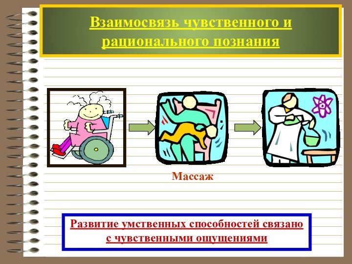 Взаимосвязь чувственного и рационального познанияРазвитие умственных способностей связано с чувственными ощущениями