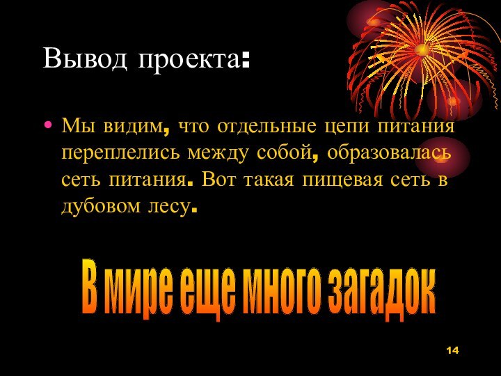 Вывод проекта:Мы видим, что отдельные цепи питания переплелись между собой, образовалась сеть