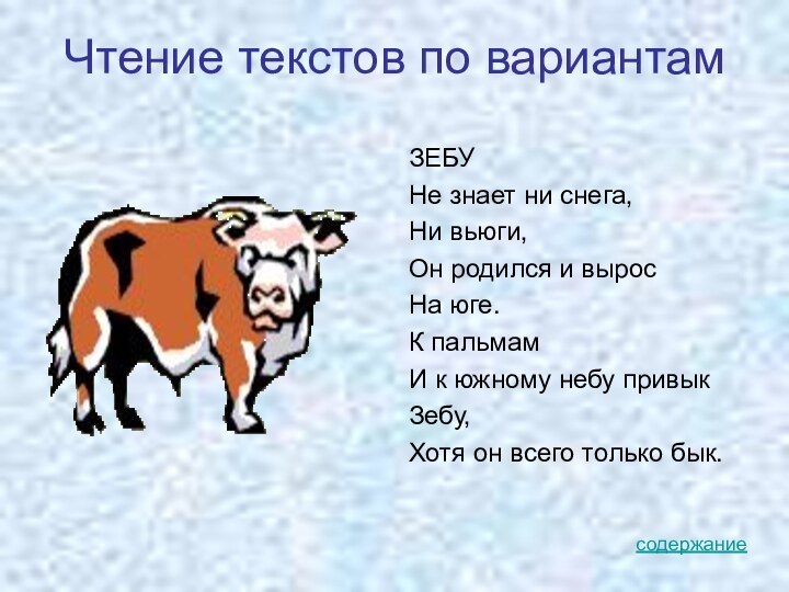 Чтение текстов по вариантамЗЕБУНе знает ни снега, Ни вьюги,Он родился и вырос