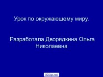 Урок полезные ископаемые