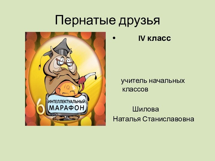 Пернатые друзья