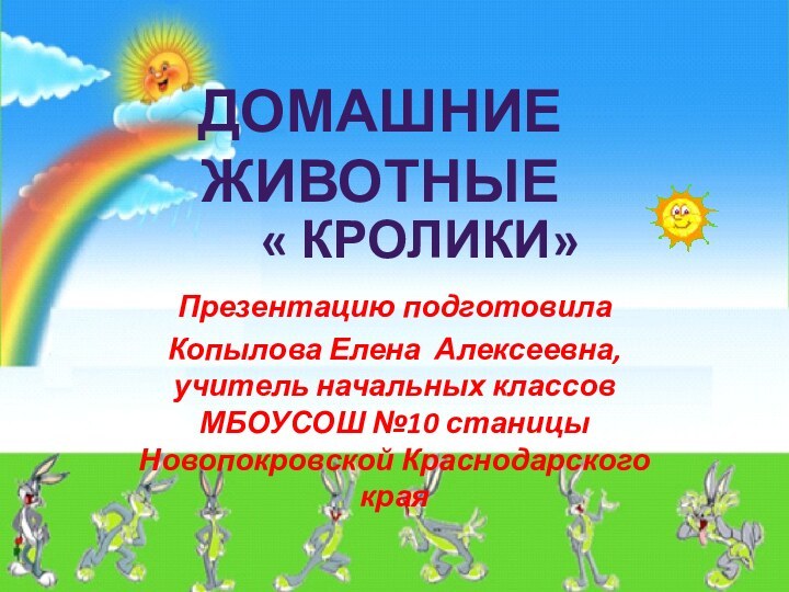 « кролики»Презентацию подготовилаКопылова Елена Алексеевна, учитель начальных классов МБОУСОШ №10 станицы Новопокровской Краснодарского краяДомашние животные