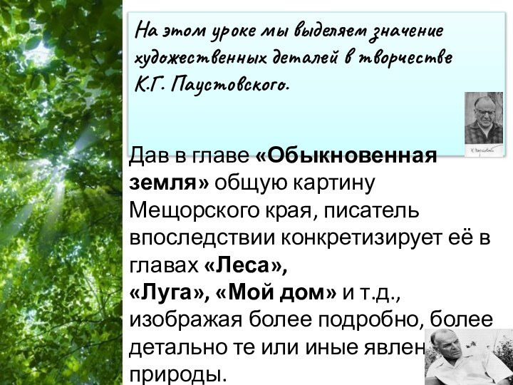 На этом уроке мы выделяем значение художественных деталей в творчестве К.Г. Паустовского.Дав