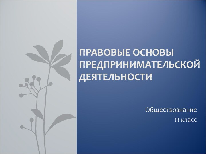 Обществознание11 классПРАВОВЫЕ ОСНОВЫ  ПРЕДПРИНИМАТЕЛЬСКОЙ ДЕЯТЕЛЬНОСТИ