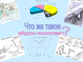 Что же такое эйдос-конспект?