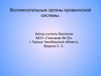 Вспомогательные органы кровеносной системы