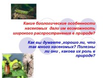 Многообразие насекомых, их роль в природе и жизни человека