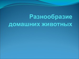 Разнообразие домашних животных