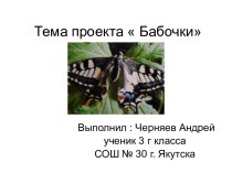 Бабочки 3 класс